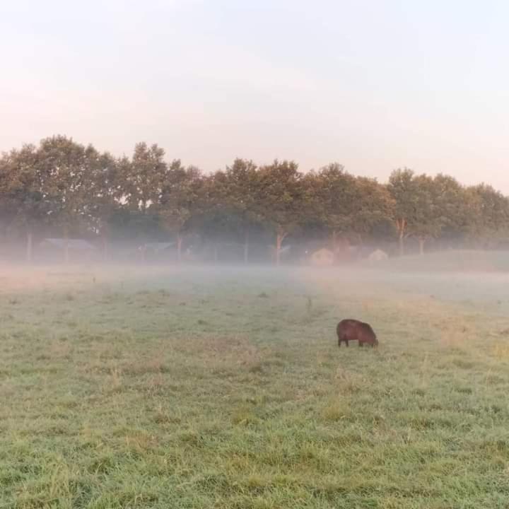 Uylkenshof Safaritenten En Natuurhuisjes Epe Exteriér fotografie