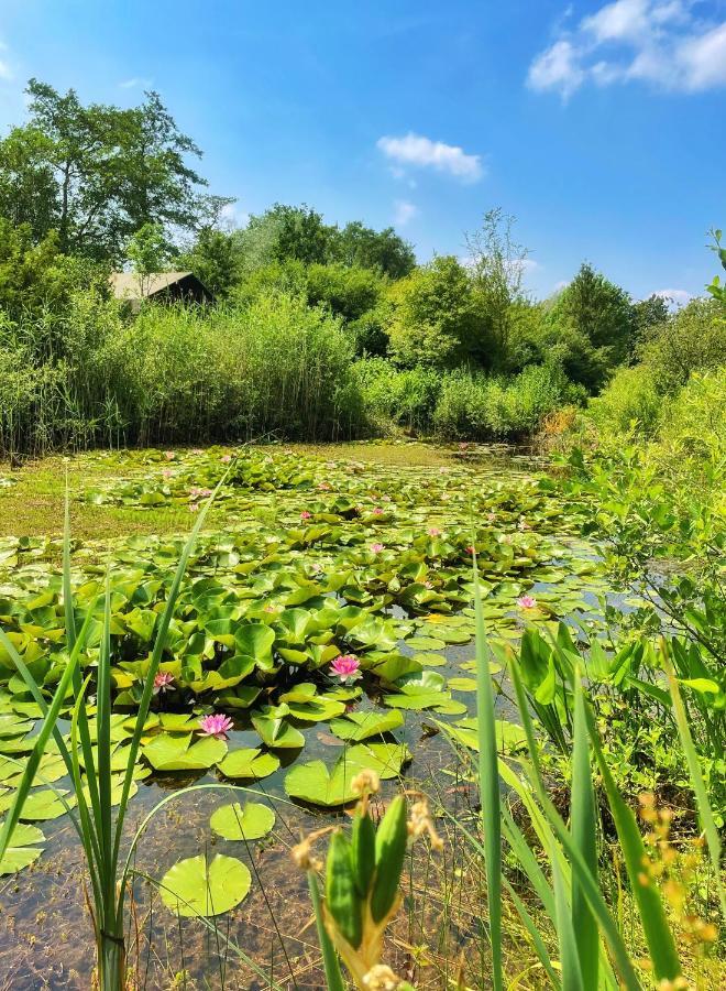 Uylkenshof Safaritenten En Natuurhuisjes Epe Exteriér fotografie