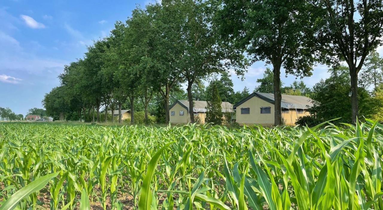 Uylkenshof Safaritenten En Natuurhuisjes Epe Exteriér fotografie